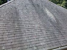 Gloeocapsa Magma On Roof Shingles | Envirowash