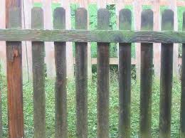 Fence Restoration | Envirowash