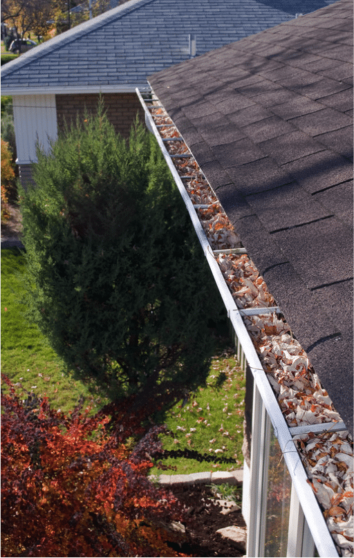 Post Holiday Gutter Cleaning