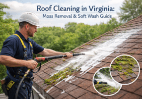 Roof Cleaning in Virginia