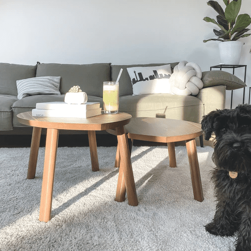 Carpet Cleaning | Envirowash | Pressure Washing in Newport News & Yorktown VA | Envirowash Carpet Cleaning | Envirowash | Pressure Washing in Newport News & Yorktown VA | Envirowash