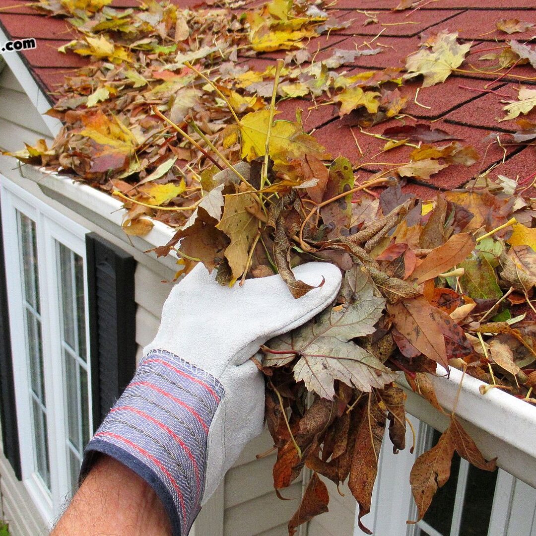Gutter Cleaning Services in Virginia: Costs, Signs & Timing