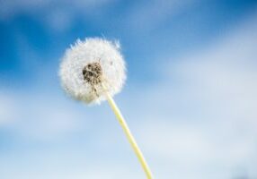 stephane-mingot-wj6pxssHjvc-unsplash