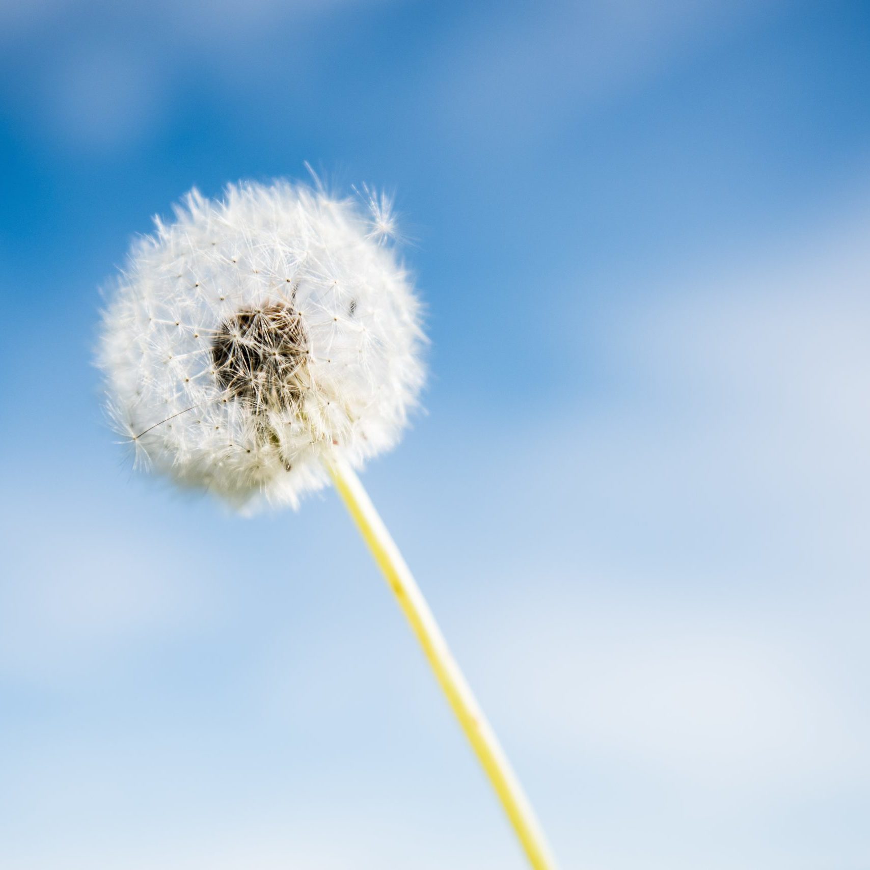 stephane-mingot-wj6pxssHjvc-unsplash stephane-mingot-wj6pxssHjvc-unsplash